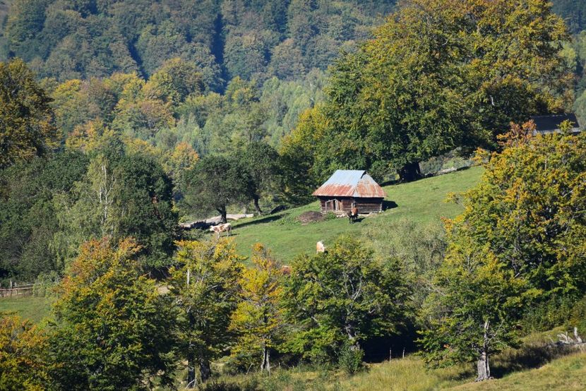  - Sfarsit de septembrie