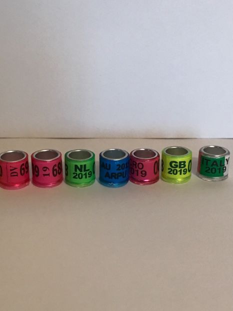  - 01 Inele Porumbei Amatori Tari Straine 2019