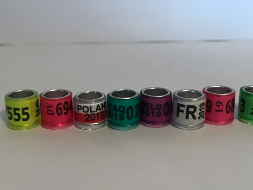  - 01 Inele Porumbei Amatori Tari Straine 2019