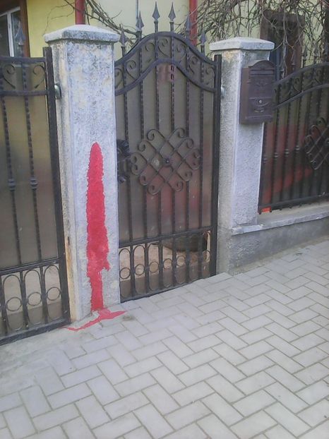 Photo1861 - Instantanee