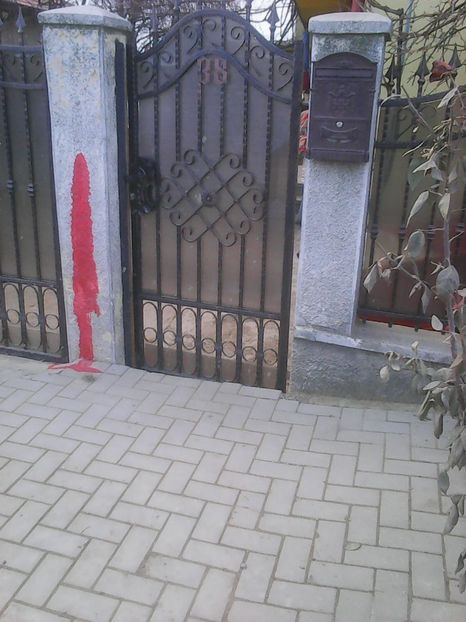 Photo1862 - Instantanee