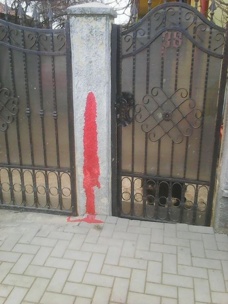 Photo1863 - Instantanee