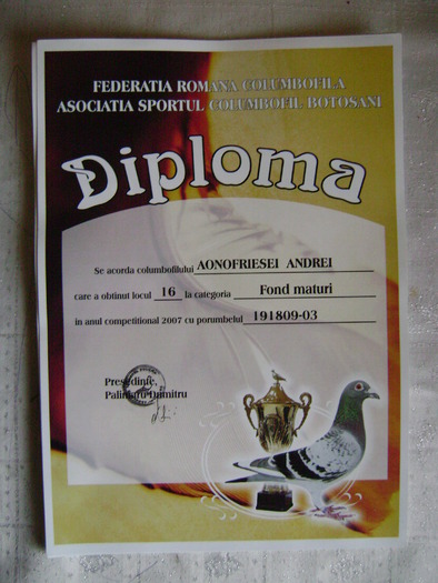 10 - diplome si cupe