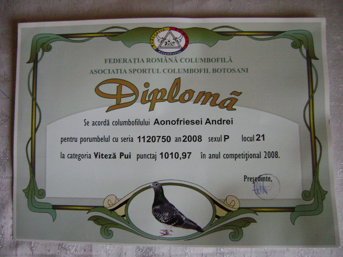 11 - diplome si cupe