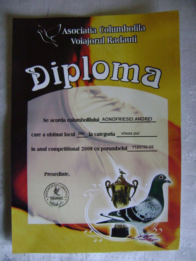 12 - diplome si cupe