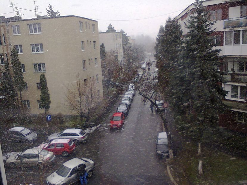 Fotografie4923 - 2019 FURTUNA DE ZAPADA 3 ianuarie