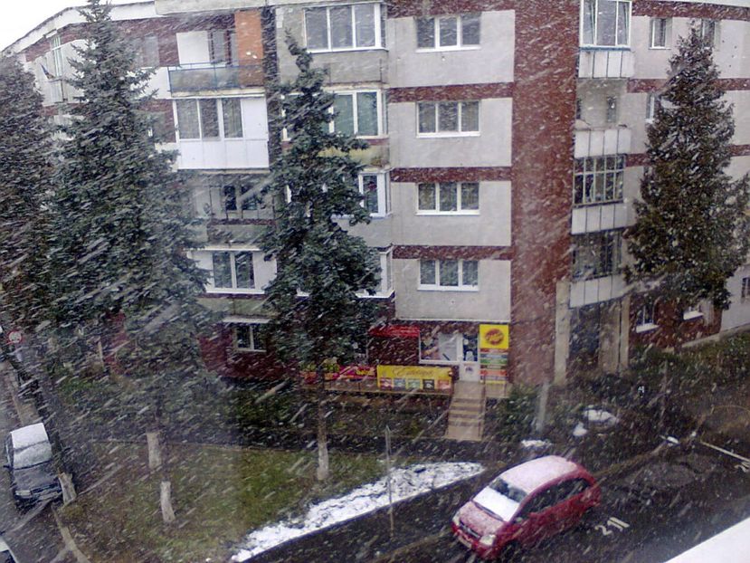 Fotografie4925 - 2019 FURTUNA DE ZAPADA 3 ianuarie