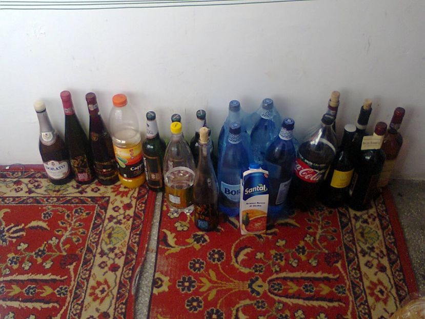 Fotografie4898 - 2019 CONCERTUL DE LA WIENA 1ianuarie