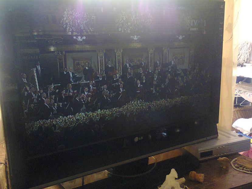 Fotografie4906 - 2019 CONCERTUL DE LA WIENA 1ianuarie