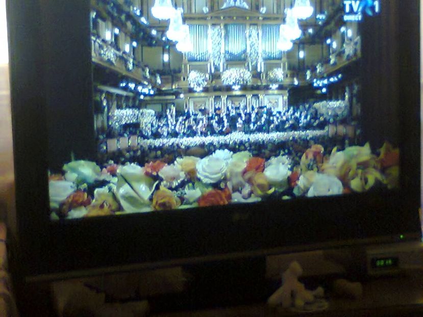 Fotografie4921 - 2019 CONCERTUL DE LA WIENA 1ianuarie