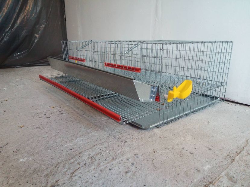  - Cuscă prepelițe ouătoare capacitate 50 de capete cu adăpători automate