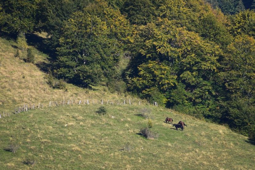  - Sfarsit de septembrie