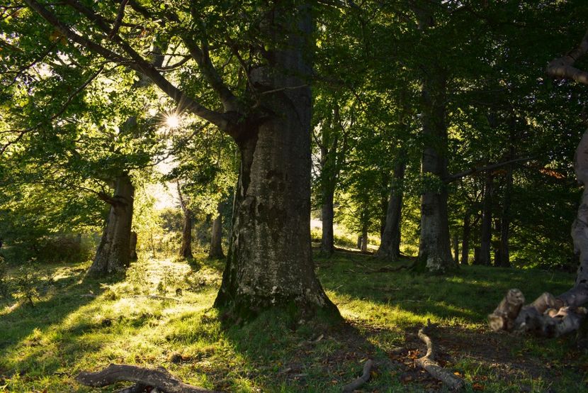  - Sfarsit de septembrie