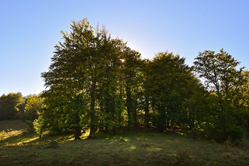  - Sfarsit de septembrie