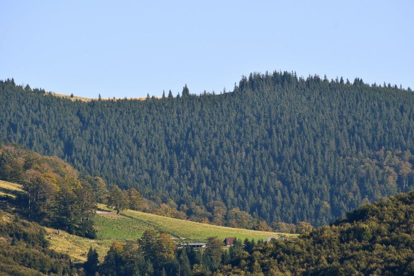  - Sfarsit de septembrie