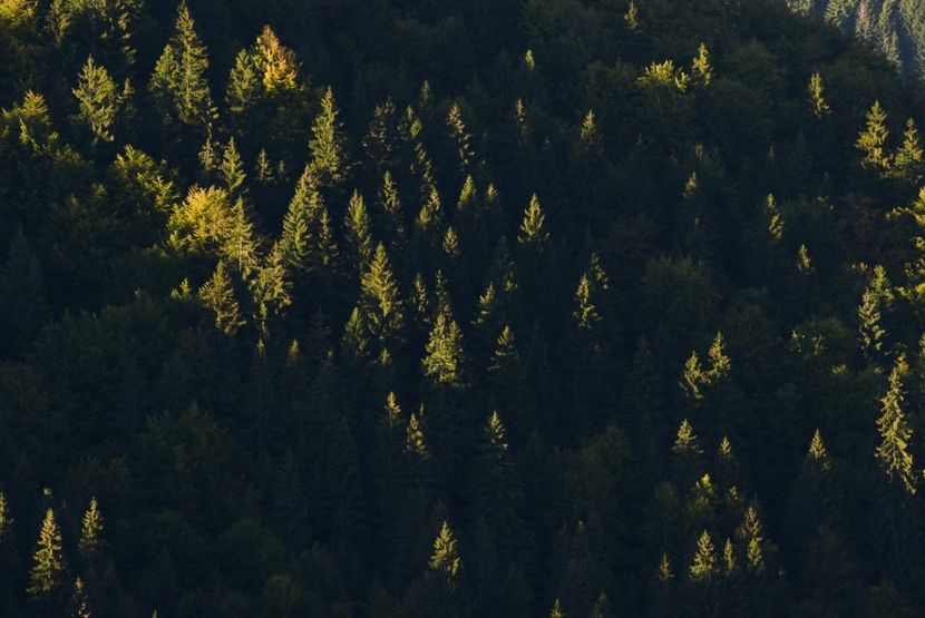  - Sfarsit de septembrie