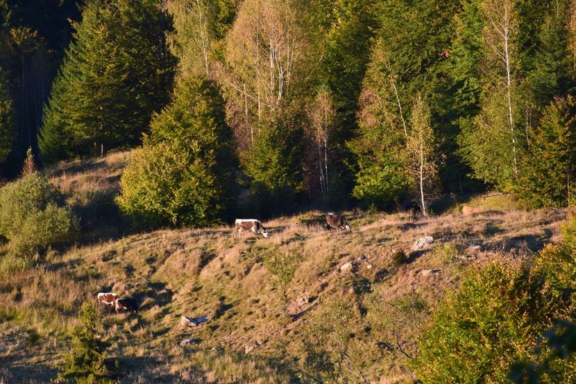  - Sfarsit de septembrie