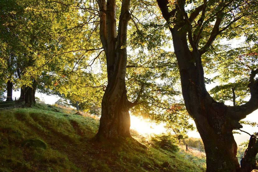  - Sfarsit de septembrie