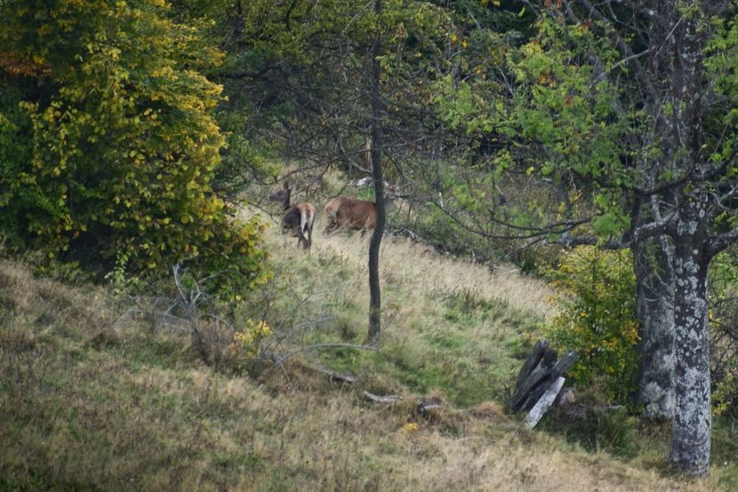  - Sfarsit de septembrie