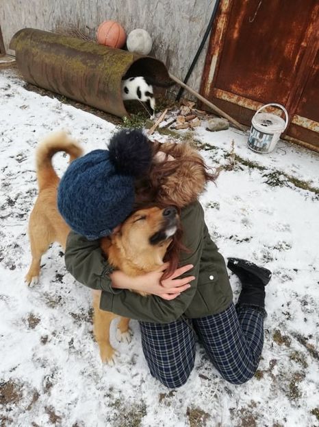  - ANIMĂLUȚELE NOASTRE