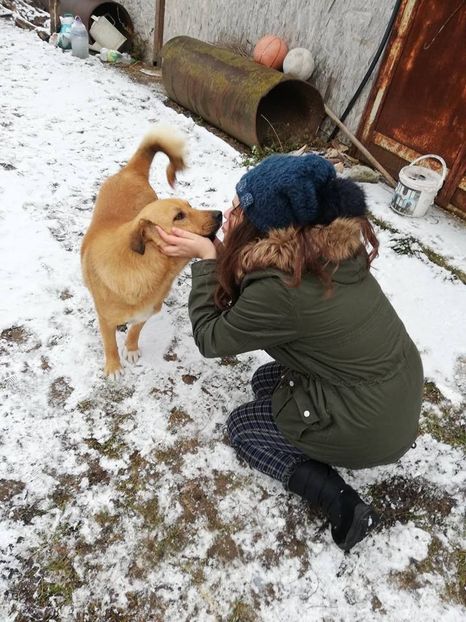  - ANIMĂLUȚELE NOASTRE
