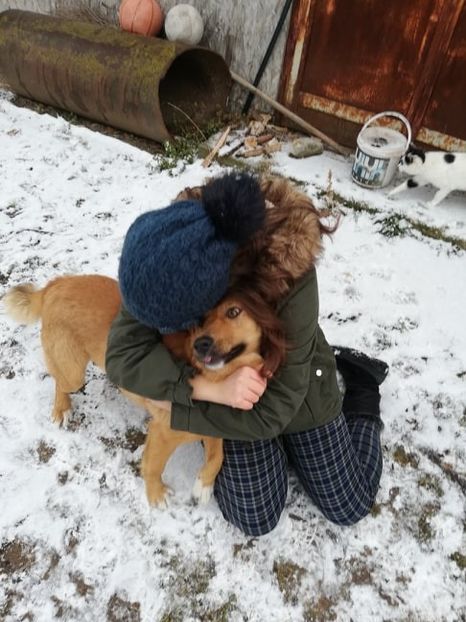  - ANIMĂLUȚELE NOASTRE