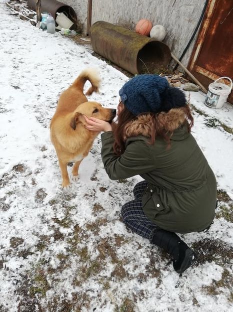  - ANIMĂLUȚELE NOASTRE