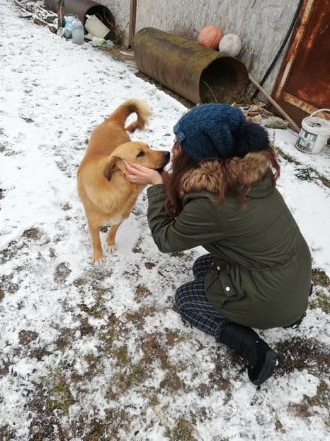  - ANIMĂLUȚELE NOASTRE