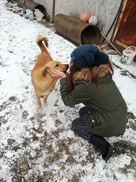  - ANIMĂLUȚELE NOASTRE