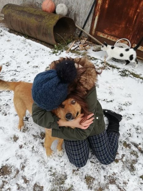  - ANIMĂLUȚELE NOASTRE