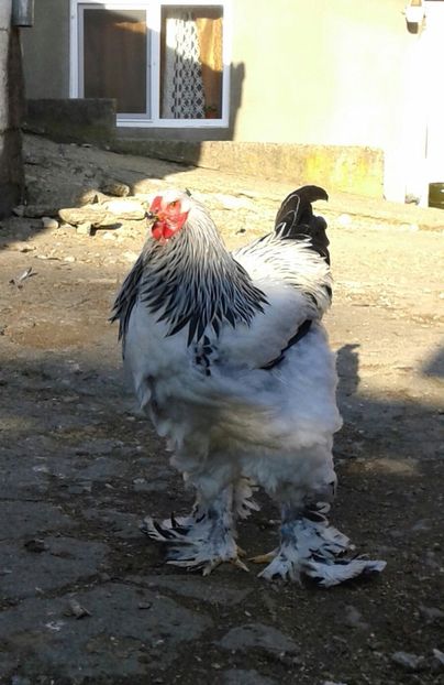 20181116_142303-1-1 - Pui 2018