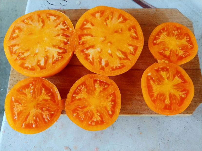 AMANA ORANGE 2018 (6) - AMANA ORANGE