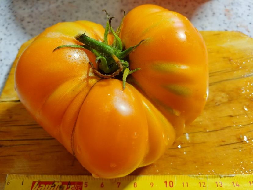 AMANA ORANGE 2018 376 GR (5) - AMANA ORANGE