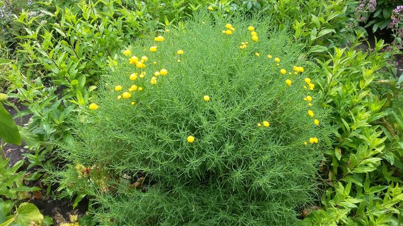  - 2018 Park Der Gaerten - Bad Zwischenahn