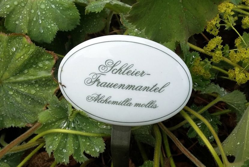  - 2018 Park Der Gaerten - Bad Zwischenahn