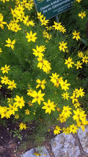  - 2018 Park Der Gaerten - Bad Zwischenahn