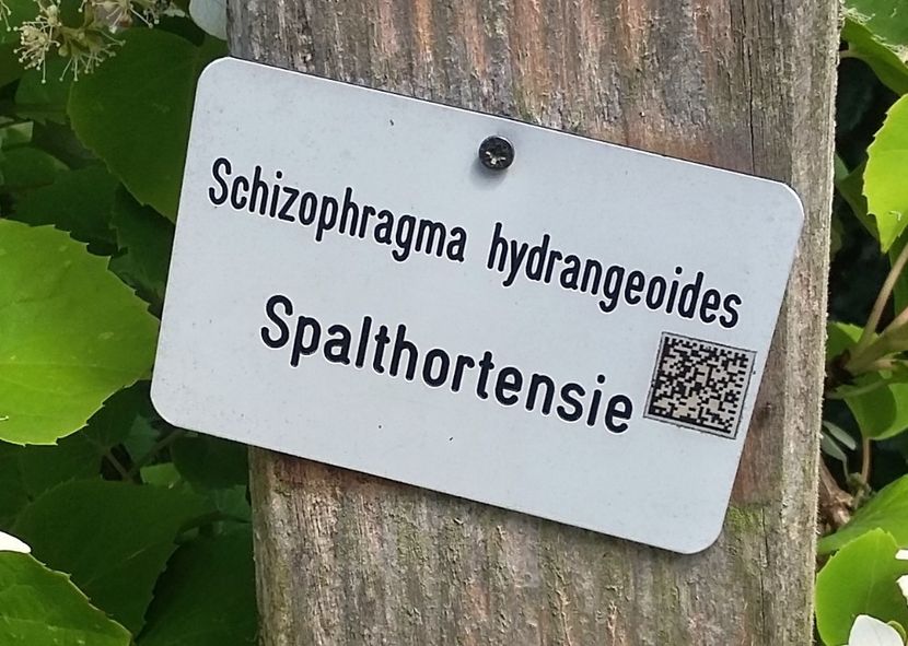  - 2018 Park Der Gaerten - Bad Zwischenahn