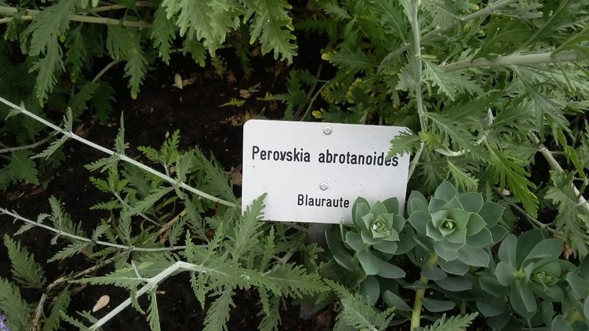  - 2018 Park Der Gaerten - Bad Zwischenahn