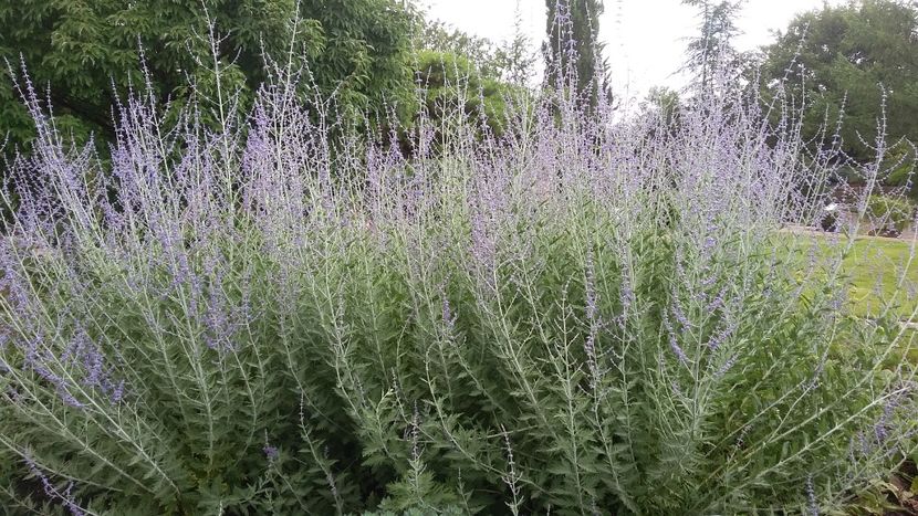  - 2018 Park Der Gaerten - Bad Zwischenahn