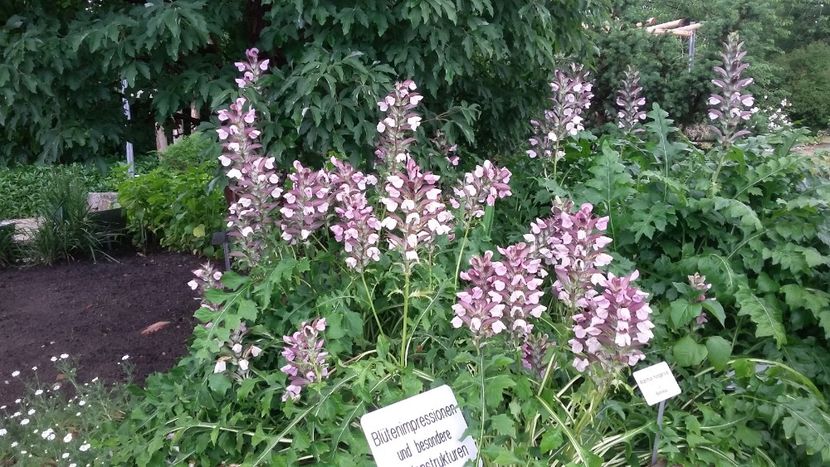  - 2018 Park Der Gaerten - Bad Zwischenahn