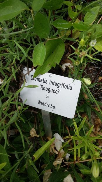  - 2018 Park Der Gaerten - Bad Zwischenahn