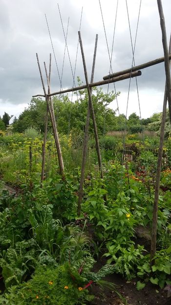  - 2018 Park Der Gaerten - Bad Zwischenahn