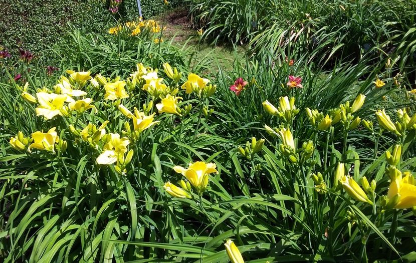  - 2018 Park Der Gaerten - Bad Zwischenahn