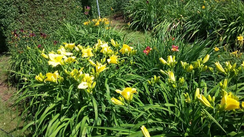  - 2018 Park Der Gaerten - Bad Zwischenahn