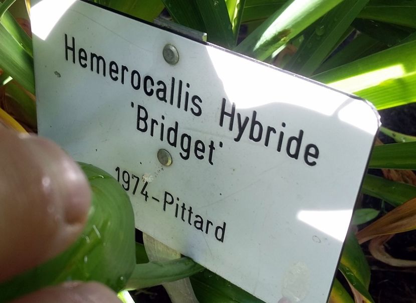  - 2018 Park Der Gaerten - Bad Zwischenahn