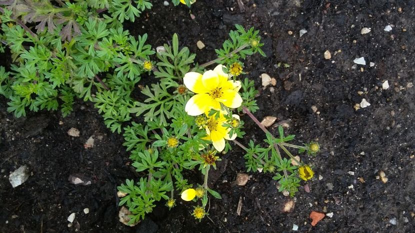  - 2018 Park Der Gaerten - Bad Zwischenahn