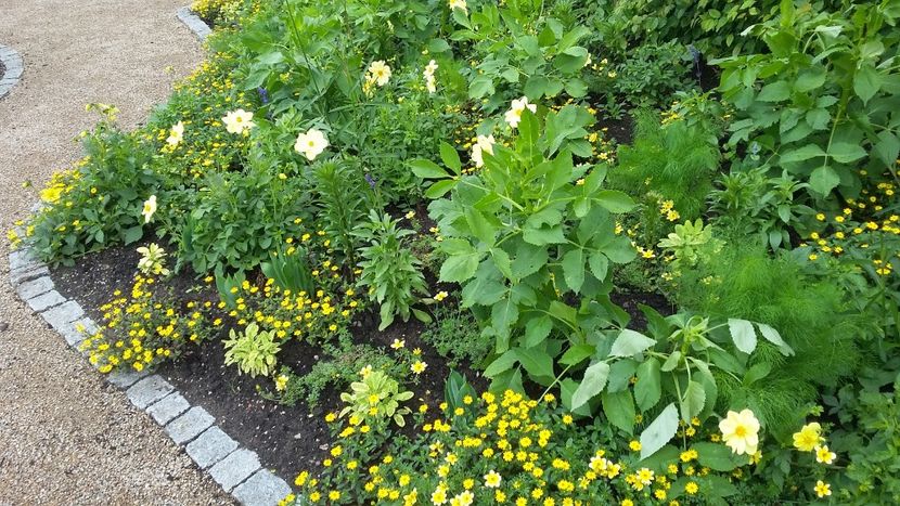  - 2018 Park Der Gaerten - Bad Zwischenahn