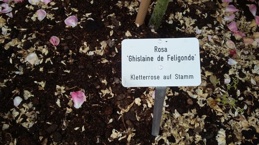  - 2018 Park Der Gaerten - Bad Zwischenahn