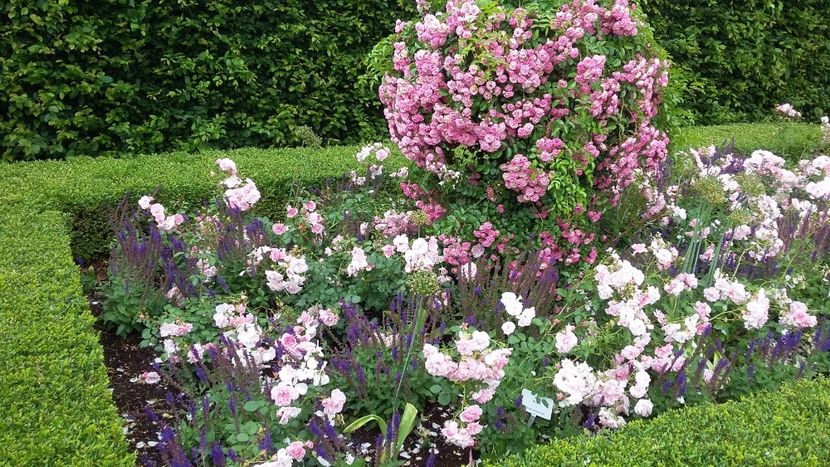  - 2018 Park Der Gaerten - Bad Zwischenahn