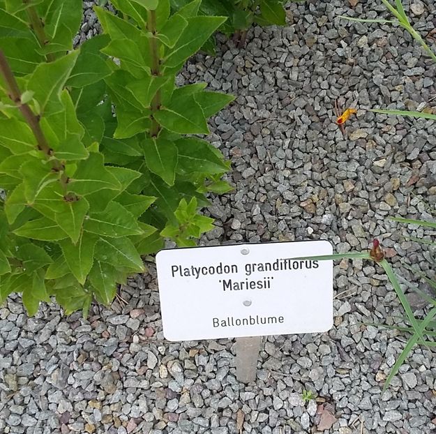  - 2018 Park Der Gaerten - Bad Zwischenahn